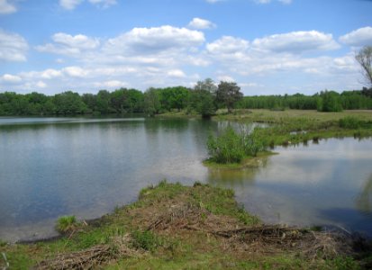 Sennelager - Güsenhofsee - 6