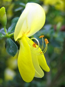 Nature plant public record