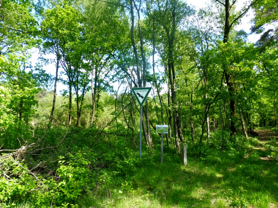 Sennelager - Langenbergteich - 1
