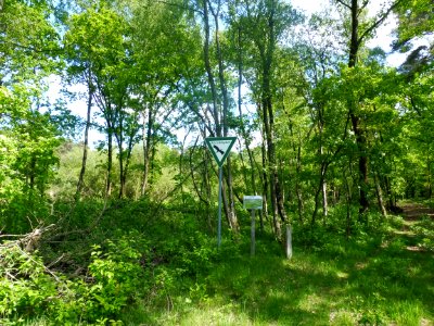 Sennelager - Langenbergteich - 1