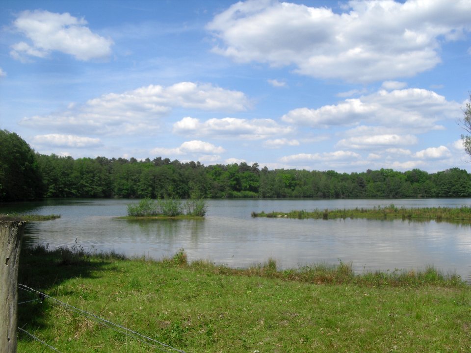 Sennelager - Güsenhofsee - 5