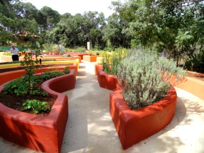 Sensorial Garden (Jardim Botânico de Brasília) - DSC09674