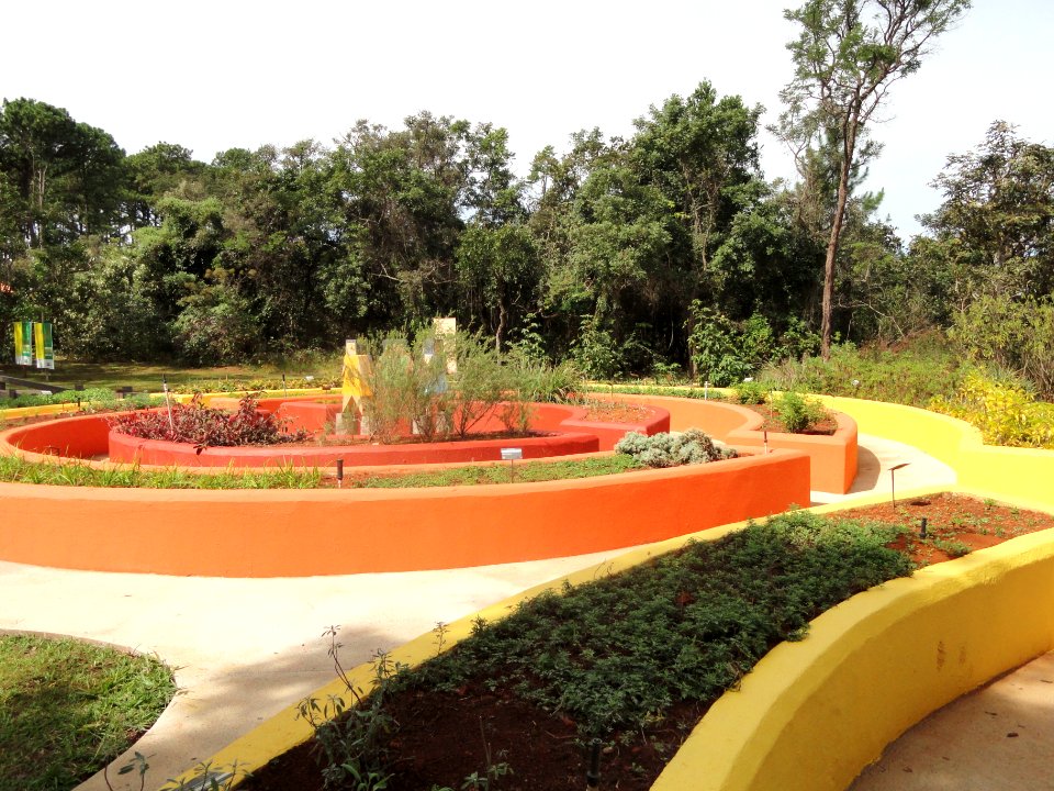 Sensorial Garden (Jardim Botânico de Brasília) - DSC09673