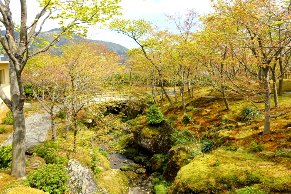 Sekirakuen Garden - Hakone, Kanagawa, Japan - DSC08370