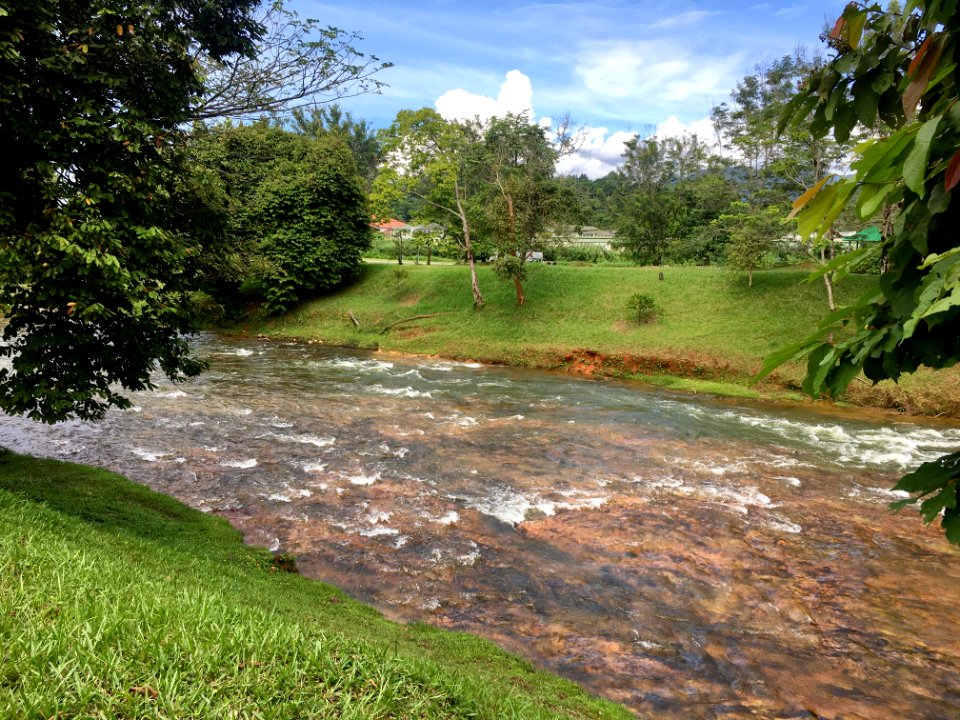 Selangor River 10