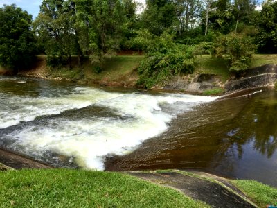 Selangor River 7