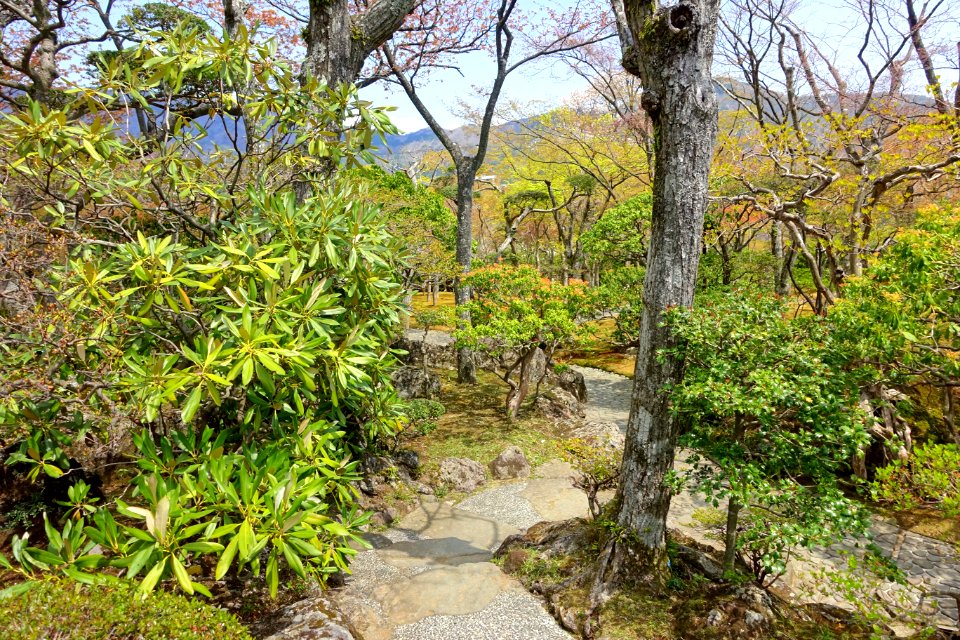 Sekirakuen Garden - Hakone, Kanagawa, Japan - DSC08040