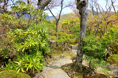 Sekirakuen Garden - Hakone, Kanagawa, Japan - DSC08040