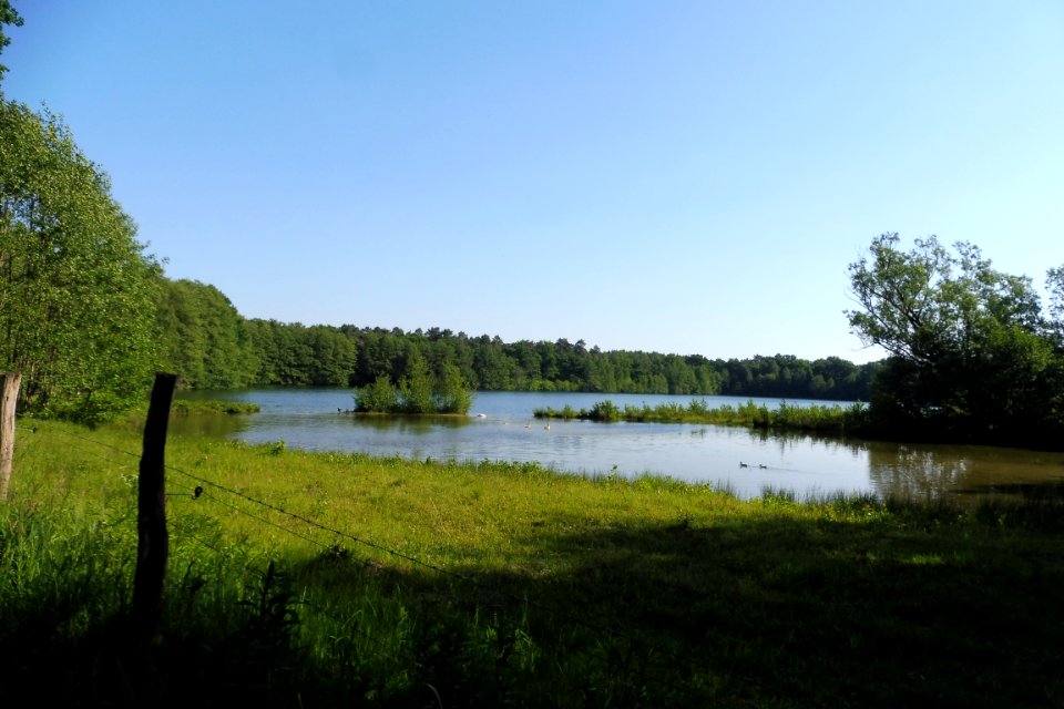 Sennelager - Güsenhofsee - 10