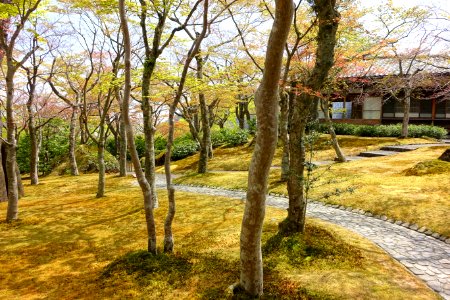 Sekirakuen Garden - Hakone, Kanagawa, Japan - DSC08004