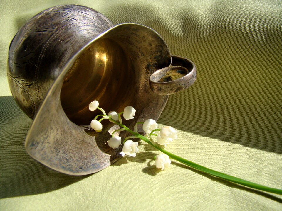 Macro photography closeup still life