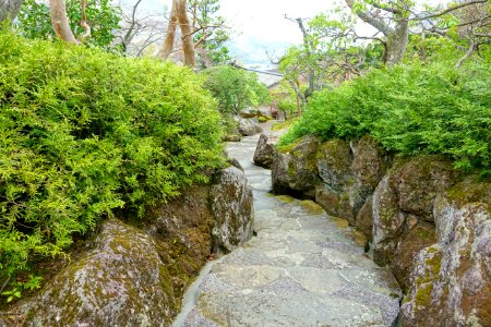 Sekirakuen Garden - Hakone, Kanagawa, Japan - DSC08068