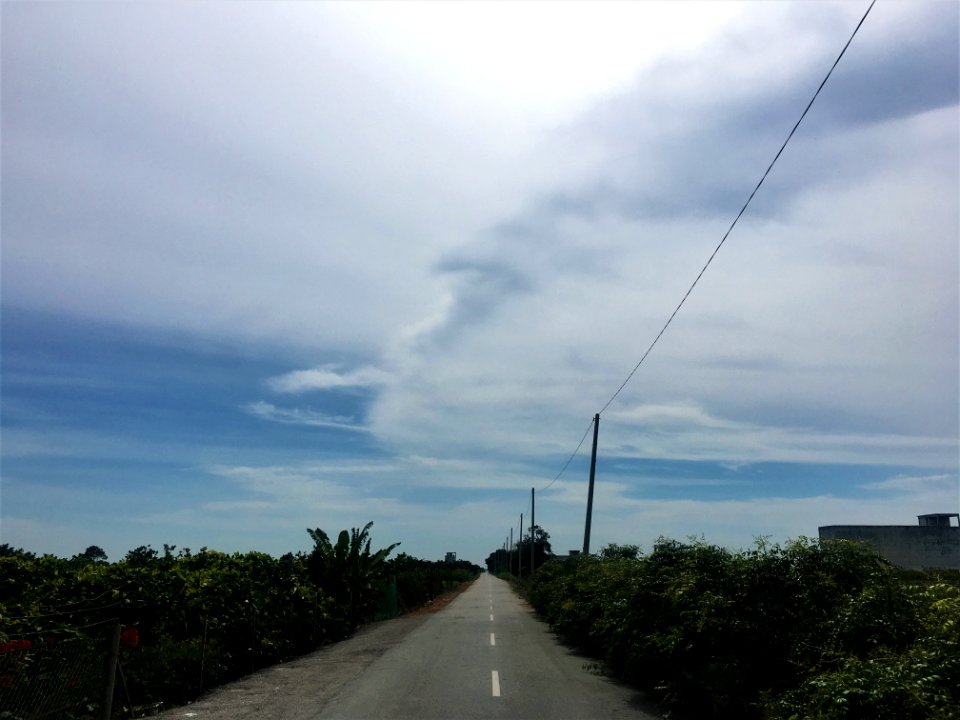 Sekinchan orchard 1