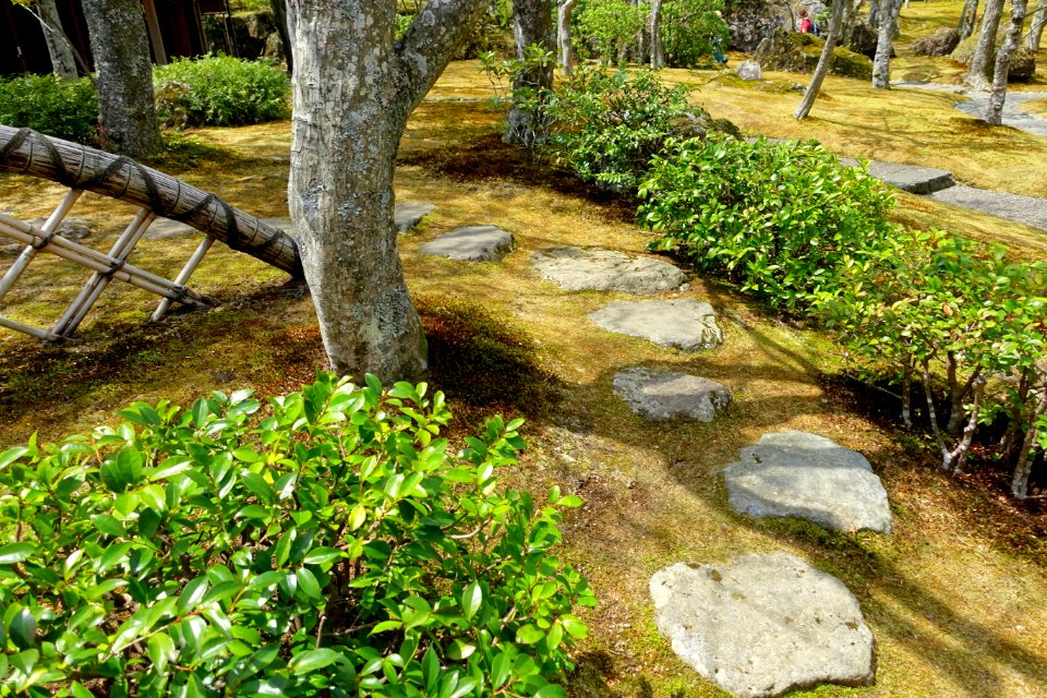 Sekirakuen Garden - Hakone, Kanagawa, Japan - DSC08022
