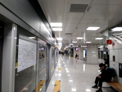 Seokchon Station Line 9 Platform 2