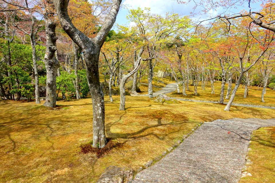 Sekirakuen Garden - Hakone, Kanagawa, Japan - DSC08032