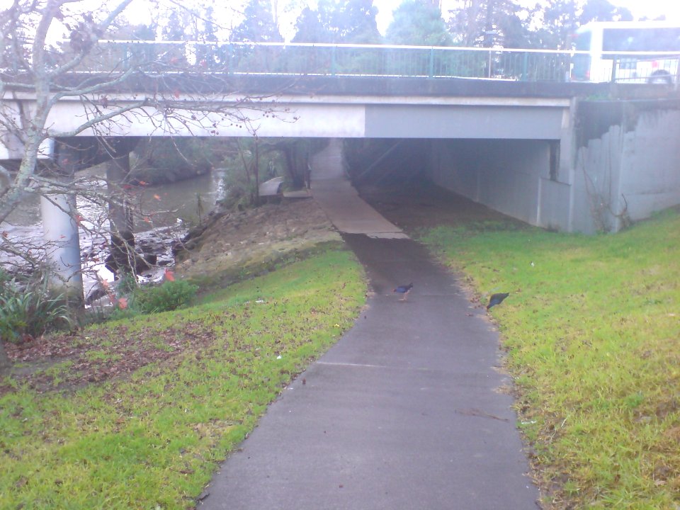 Sel Peackock Road Bridge And Mill II