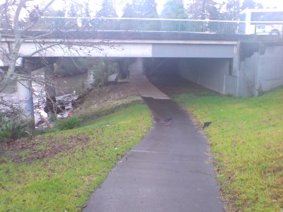 Sel Peackock Road Bridge And Mill II