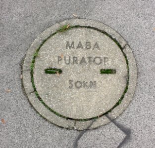Schachtdeckel Wien MABA PURATOR