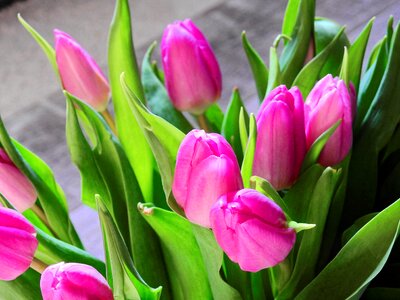 Bloom bouquet birthday