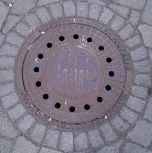 Schachtdeckel Alsterdorf 20110326