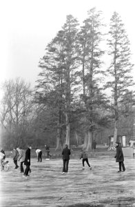 Schaatspret op de vijver van het Vondelpark, Bestanddeelnr 921-9361