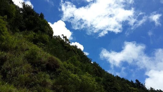 Mountain a surname nature scenery