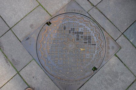 Schachtdeckel Fredericia 1007