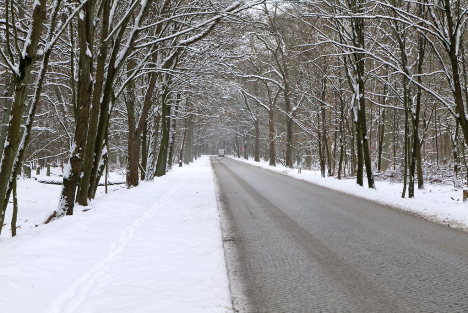Schönwalder Allee in the Spandauer Forst with snow 2021-02-09 02