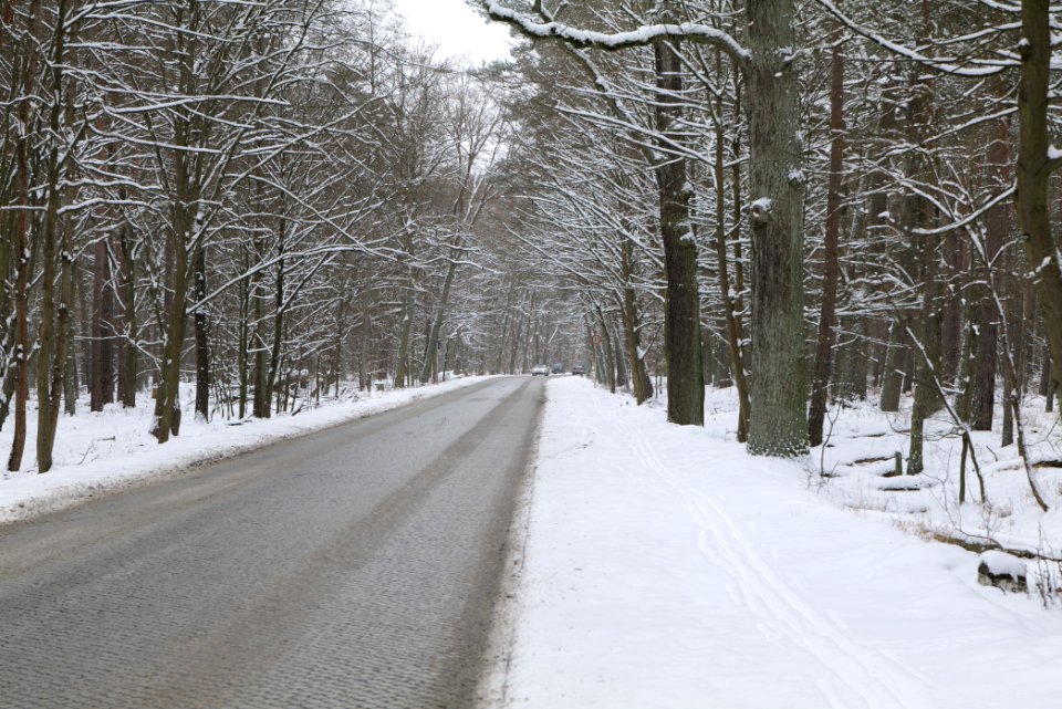 Schönwalder Allee in the Spandauer Forst with snow 2021-02-09 03