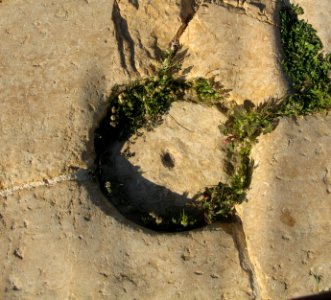 Schachtdeckel Gerasa-1 20120322