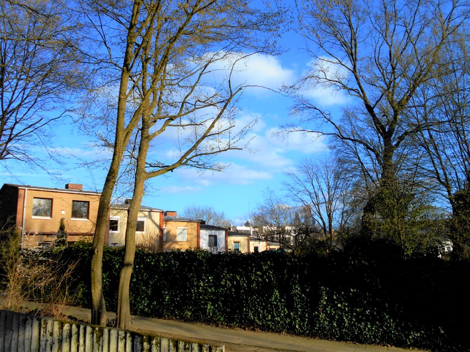 Schüslerstraße