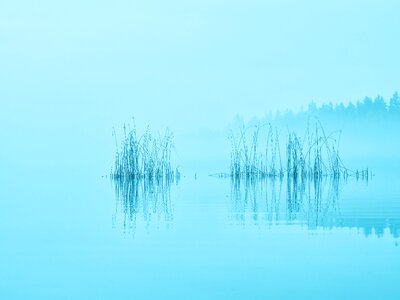 Silhouette nature sky
