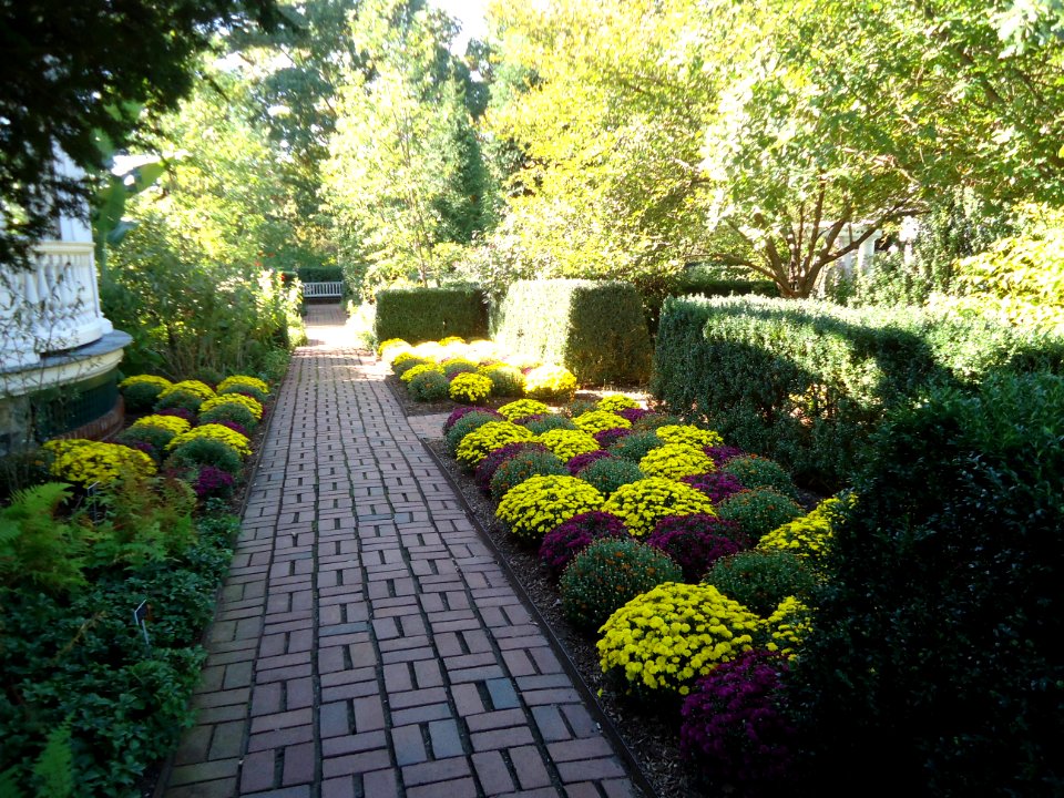 Scene at Frelinghuysen Arboretum fall 2016