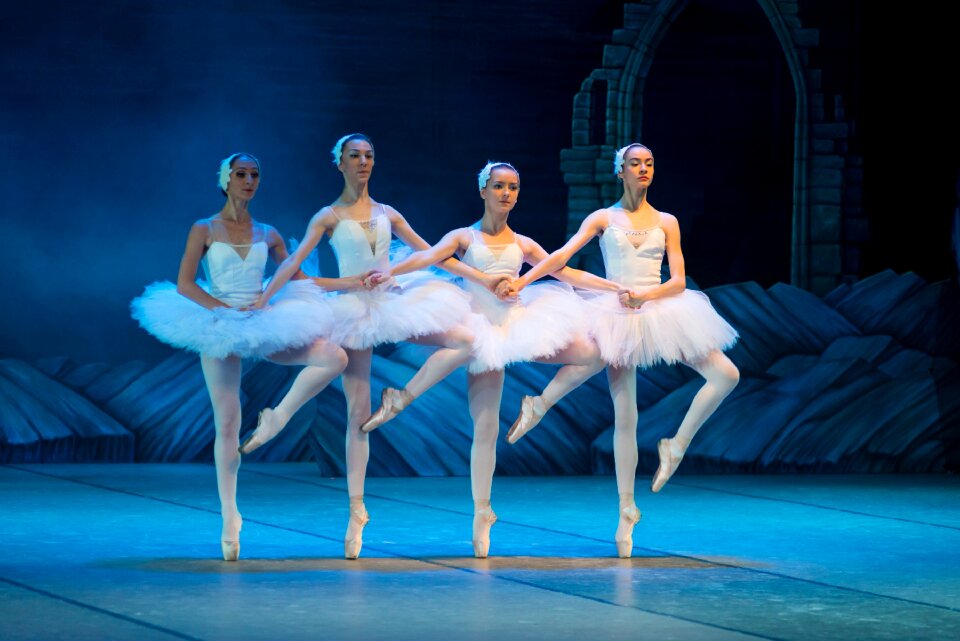 Dance swan elegance