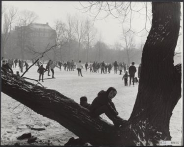 Schaatsers, vijvers, ijs, winters, Bestanddeelnr 073-0086