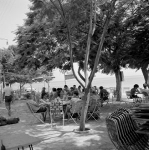 Schaduwrijk terras in de stad Tiberias aan het Meer van Tiberias met groepen man, Bestanddeelnr 255-4089