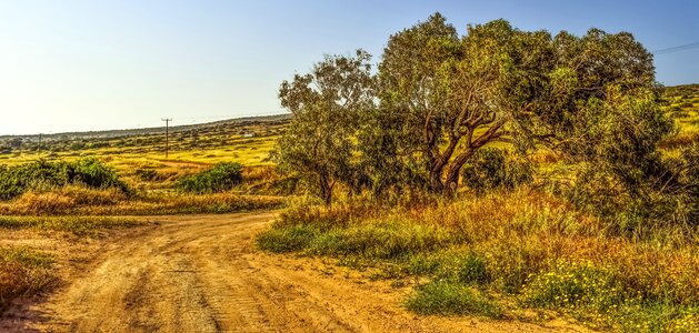 Scenery nature rural photo