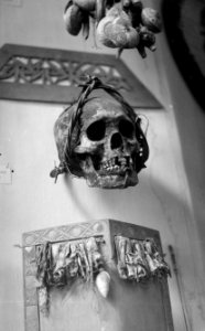 Schedels, curiositeiten, Bestanddeelnr 14794