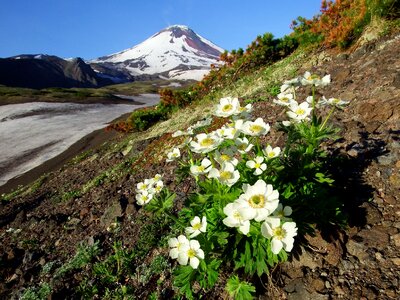 Mountain plateau kamchatka peninsula photo