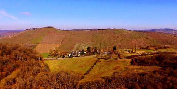 Scharzhofberg Wilitngen Panorama
