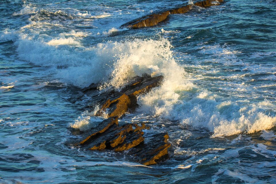 Ocean reefs england