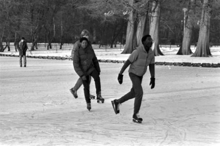 Schaatsers in het Vondelpark in Amsterdam, Bestanddeelnr 931-8624