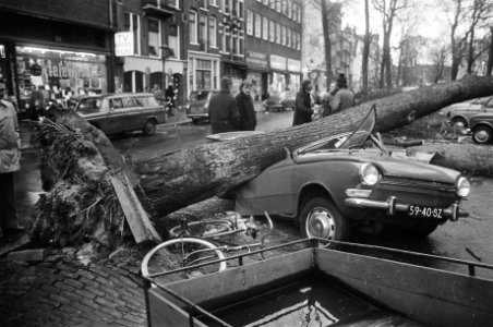 Schade door hevige storm omgewaaide boom aan Elandsgracht op autos, Bestanddeelnr 928-3416