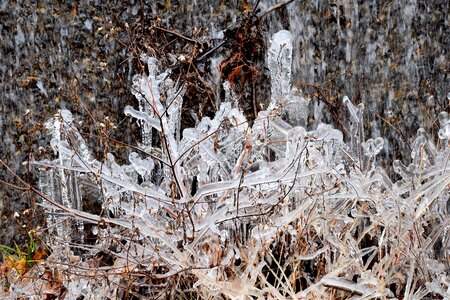 Cold winter frost photo