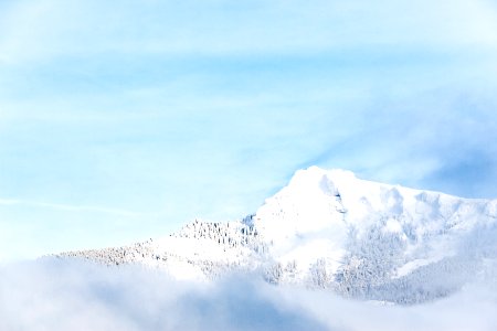 Schafberg 4