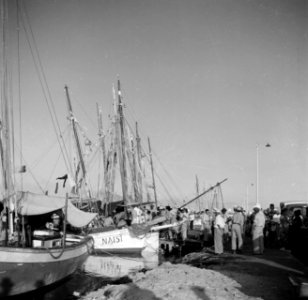 Schepen in de Paardenbaai van Oranjestad op Aruba, Bestanddeelnr 252-7849