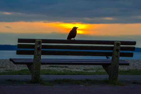 England sunset sea