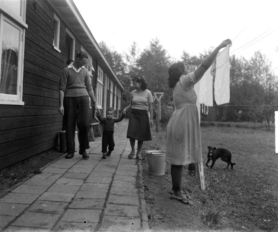 Schattenberg1950