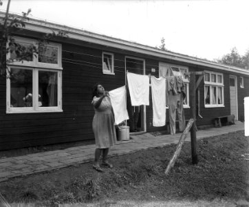 SchattenbergDrente1950